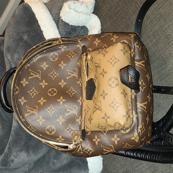 Louis Vuitton Palm Springs Backpack PM - Picture 10 of 13